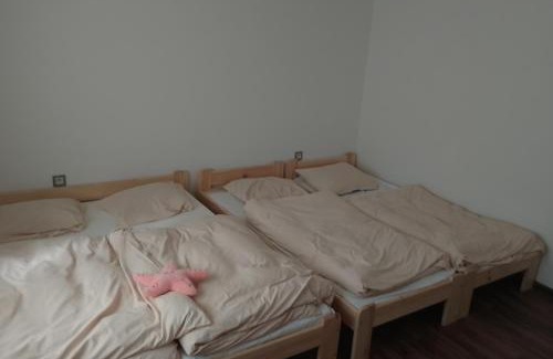 Vamberk House | Domek u lesa