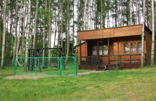 Borkowo Cabin | Domek w Borkowie