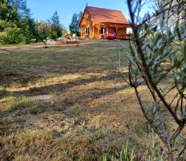 Bilgoraj House | Domek w lesie