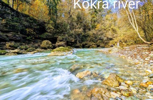 Kranj Apartment | Domen's cozy rentals