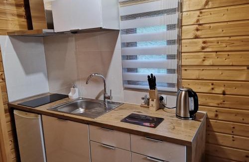Solina Cabin | Domki na Słonecznej 512-935-030