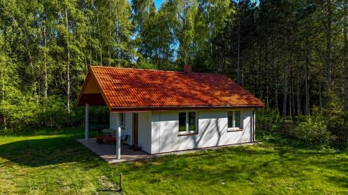 Sarbsk House | Domki pod brzozami