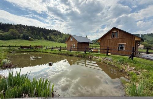 Ropienka House | Domki z klimatem