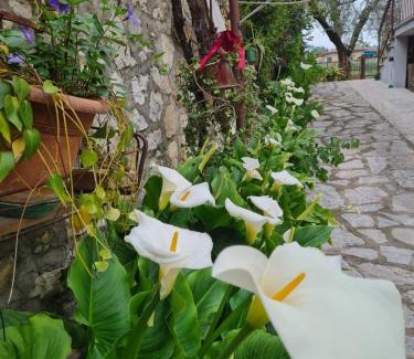 Garda Apartment | Domus Garda