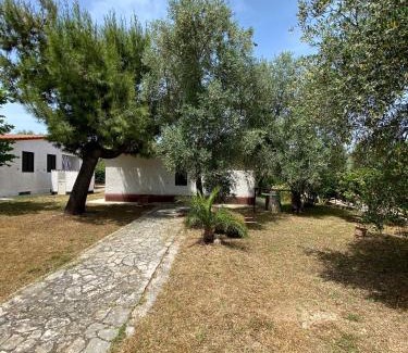 Montincello House | Domus Vestae