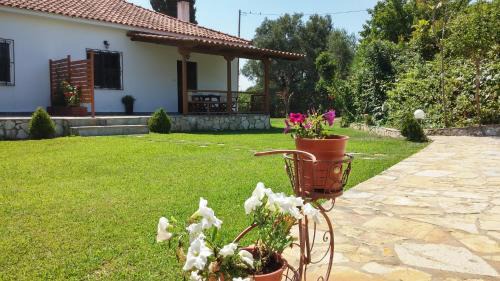 Tsilivi Apartment | Dora Apartments