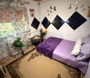 Lugoj Apartment | Dorina gazdă