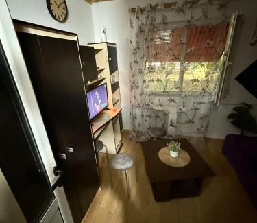 Lugoj Apartment | Dorina gazdă