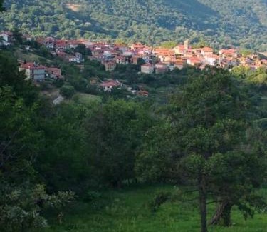 Agrapidies House | Dorotheas Stone house in the forest