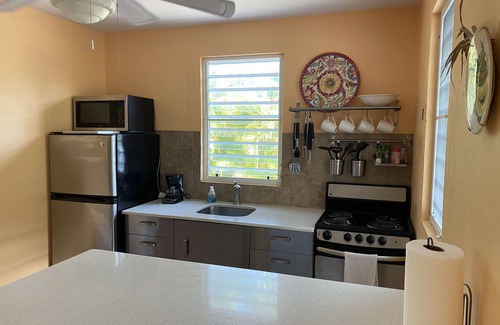 Bravos de Boston Cottage | "Dos Coquis" - Walk to the Beach with this perfect island home away from home!