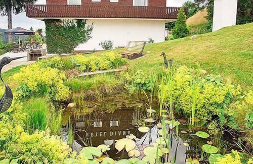 Barental House | Double room - Hotel Diana in Feldberg (Black Forest)