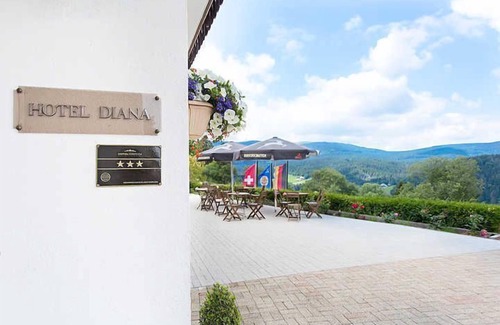 Barental House | Double room - Hotel Diana in Feldberg (Black Forest)
