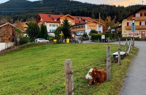 Sonnen Apartment | Double room mountain view no. 20 - Wellnesshotel Waldruh
