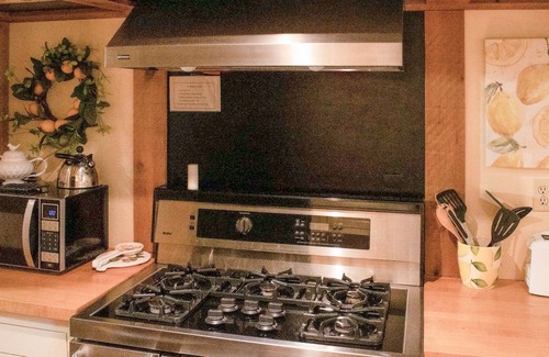Eureka Springs Historic District House | Downtown home with central AC, outdoor space, garden, washer/dryer & fireplace