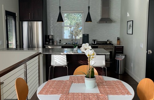 St. Petersburg - Clearwater Apartment | Downtown! Steps to Beach Drive restaurants, shops, and gorgeous waterfront!