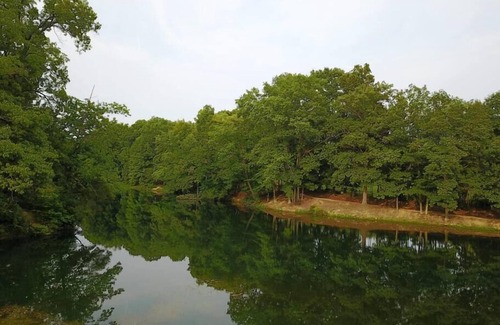 Helmsburg Cabin | "Doyle" Camping Cabin #13 | Pet Friendly
