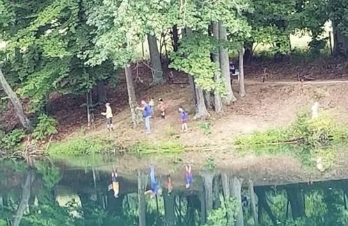 Helmsburg Cabin | "Doyle" Camping Cabin #13 | Pet Friendly