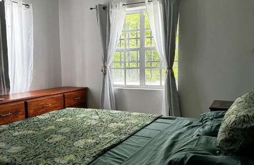 Saint John Parish Apartment | Dr Fionas Animal Cottage