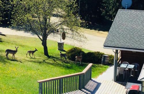 Valemount Hotel | Dream Catcher Inn