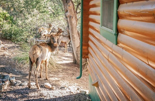 Pine Cabin | Dreamy Cabin in the Trees! BBQ & Stargazing Deck