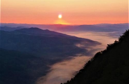 Tara National Park Apartment | Dren - Banjska stena