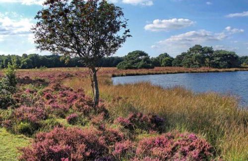 Municipality of Midden-Drenthe House | Drentse bungalow in natuur en rust