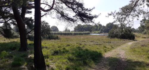 Municipality of Midden-Drenthe House | Drentse bungalow in natuur en rust