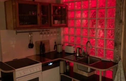 Loschwitz Apartment | Dresden in beautiful studio apartment with garden view