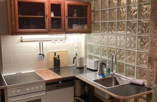 Loschwitz Apartment | Dresden in beautiful studio apartment with garden view