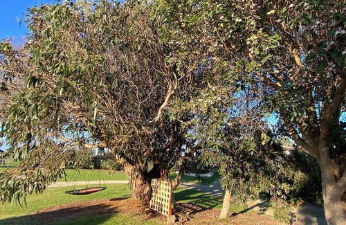 Sandy Point House | Driftwood Villas Waratah