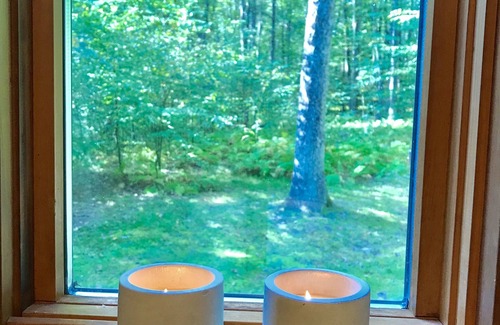 Todd Cabin | Drooly Bear Cabin: Your Raystown Lake Getaway!