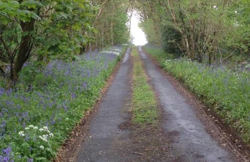 Tavistock House | Drovers Cottage
