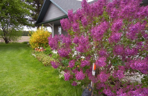 Leamington Cottage | Duck Pond Bed & Breakfast Cottage