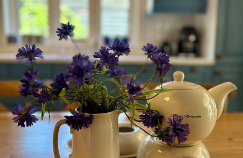 Limmen House | 'Duinstolp' - beautiful house with attention to detail and beautiful location!
