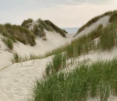 Westenschouwen Bed & Breakfast | Duinstrand Burgh-Haamstede