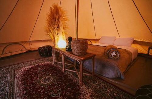 Ica Other | Duna Camp Huacachina