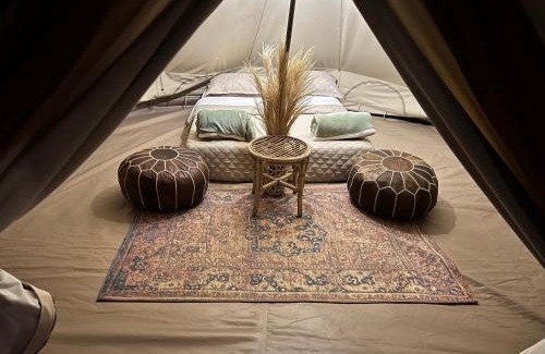 Ica Other | Duna Camp Huacachina
