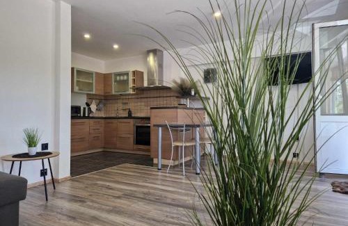 Druskininkai Apartment | Duplex Apartment Vilte
