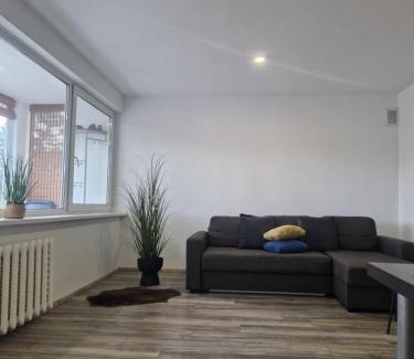 Druskininkai Apartment | Duplex Apartment Vilte