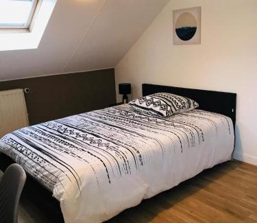 Belfort Apartment | Duplex du Lion - 8 Voyageurs - Appartement 4 chambres supérieures