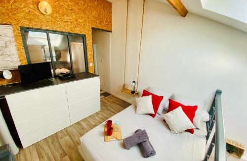 Saint-Serge Apartment | Duplex industriel - Centre ville Parking privé WIFI