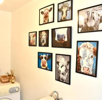 Saint-Lupicin Apartment | Duplex lumineux haut Jura