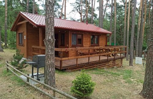 gmina Karsin House | DWA DOMKI BORSK