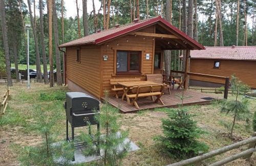 gmina Karsin House | DWA DOMKI BORSK
