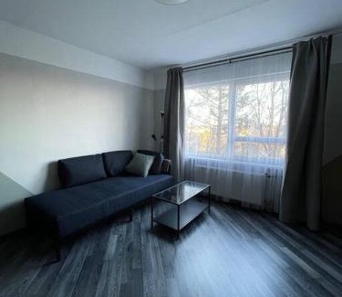 Aluksne Apartment | Dzīvoklis ar skatu pār Alūksni