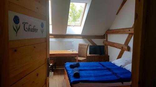 Debnica Kaszubska Apartment | Dziewanna