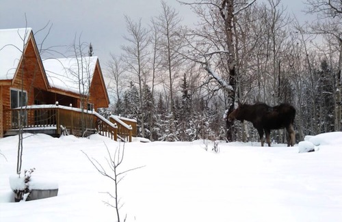 Tatla Lake Cabin | Eagle Bear Lodge
