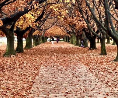 Sutton Resort | Eaglehawk Park Canberra