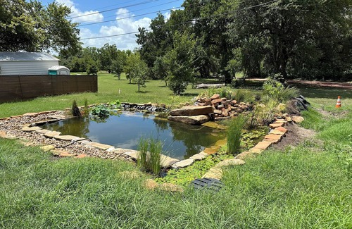 Foster Heights House | East Austin Contemporary w Natural Pool