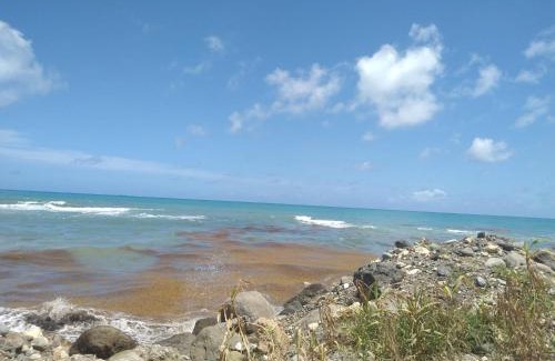Albion Other | East Coast of Jamaica-Hiking and Camping